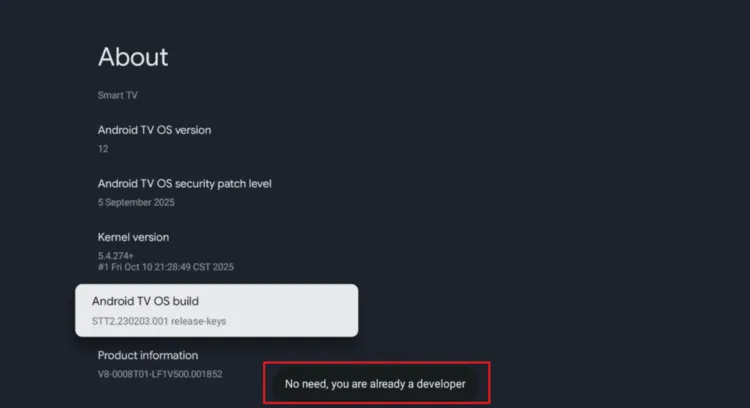 best-google-tv-hacks-enable-developer-option