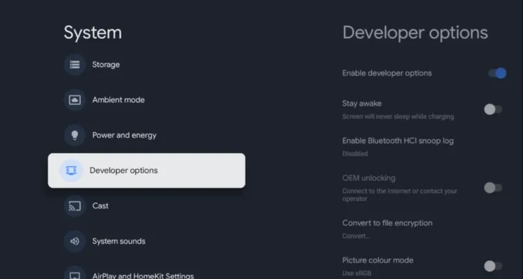 Select Developer options in the Google TV System menu