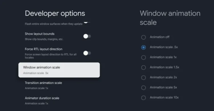 Set Window animation scale to 0.5x on Google TV