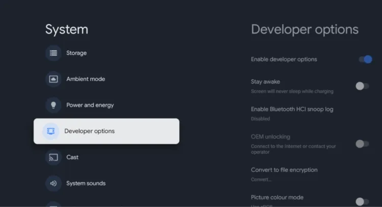 Open Developer options on Google TV